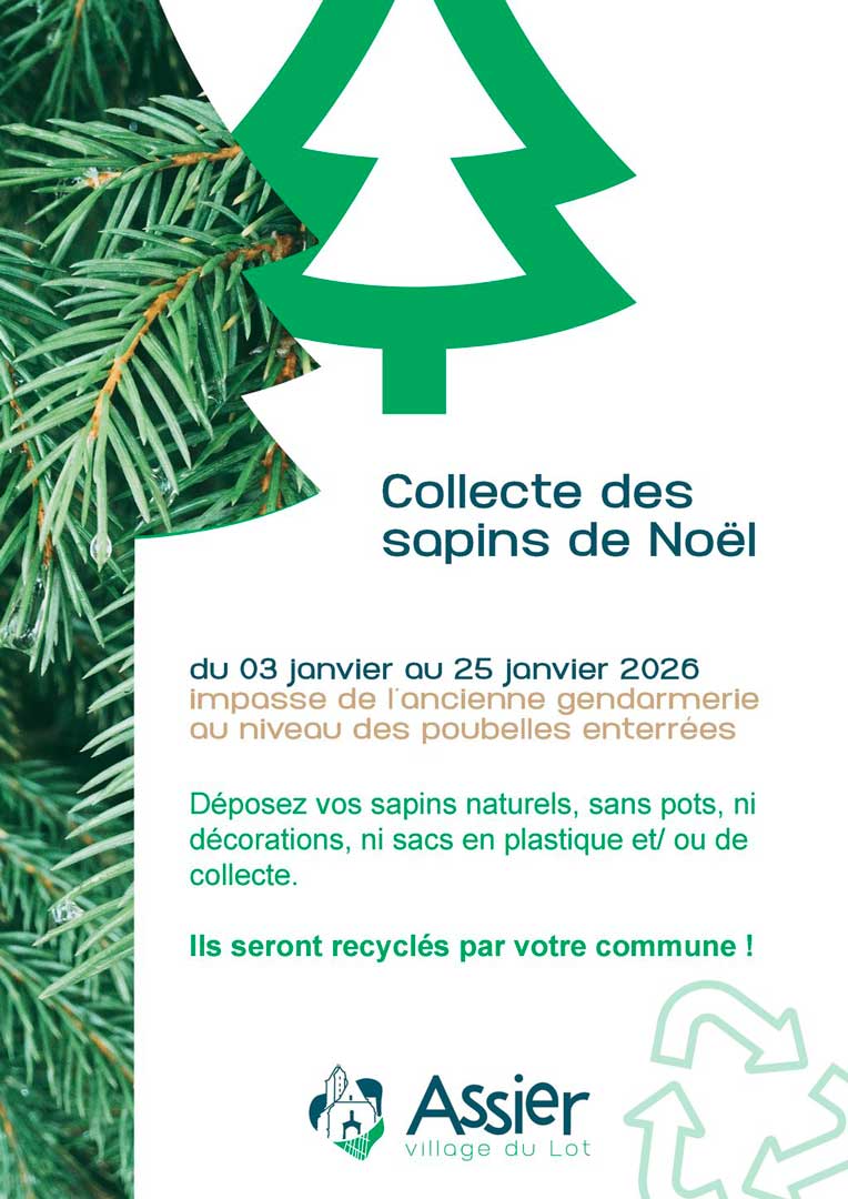 Collecte de sapins de Noël 2026