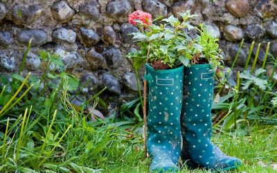 Les jardiniers en herbe : Préparer son jardin à l’automne pour l’été suivant 17-11-2026