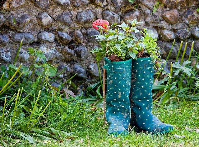 Les jardiniers en herbe