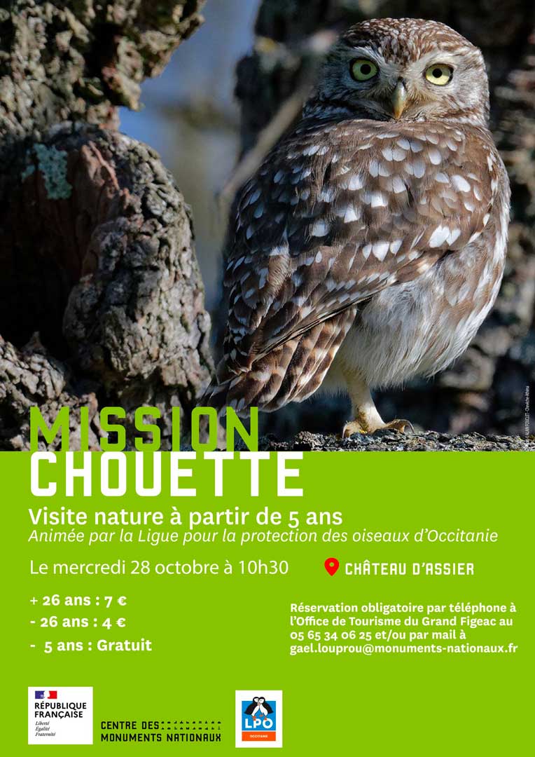 Visite LPO - Mission Chouette au château d'Assier
